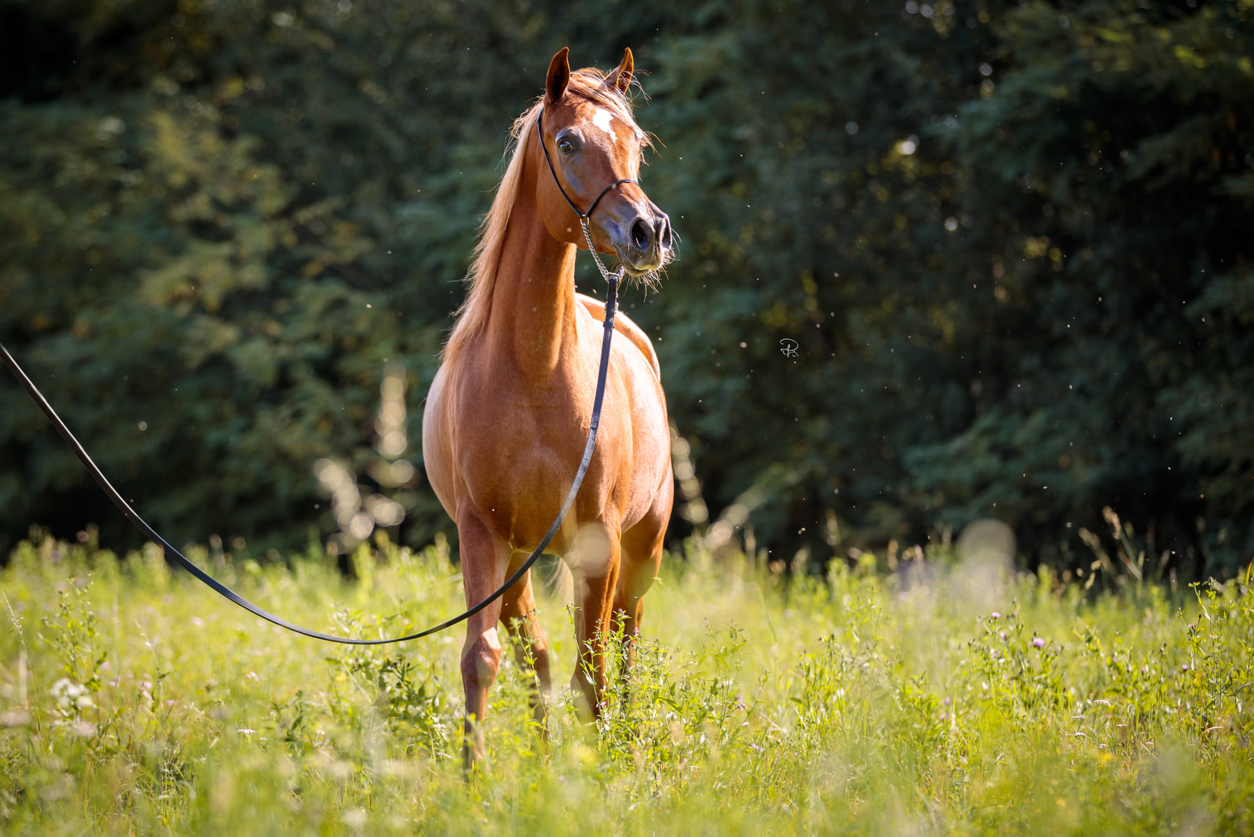 247657724_375527774321027_7652387369008779938_n